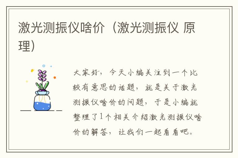 激光测振仪啥价（激光测振仪 原理）