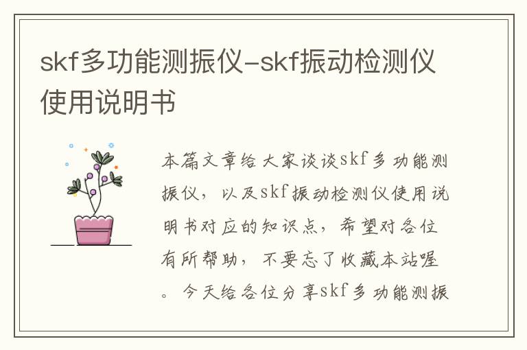 skf多功能测振仪-skf振动检测仪使用说明书