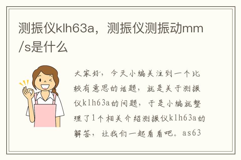 测振仪klh63a，测振仪测振动mm/s是什么