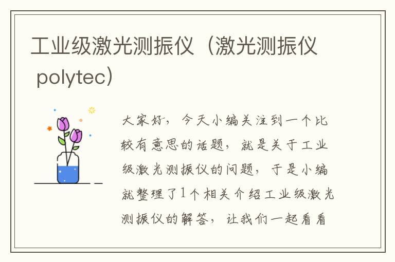 工业级激光测振仪（激光测振仪 polytec）