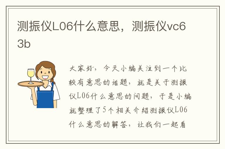 测振仪L06什么意思，测振仪vc63b