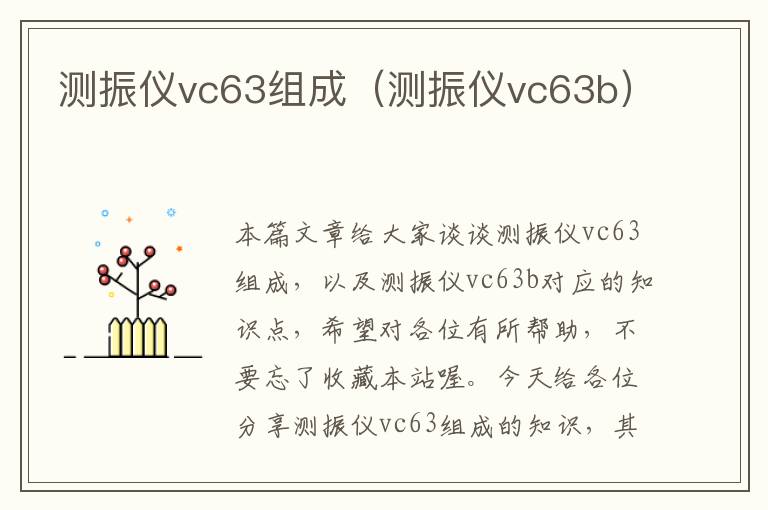 测振仪vc63组成（测振仪vc63b）