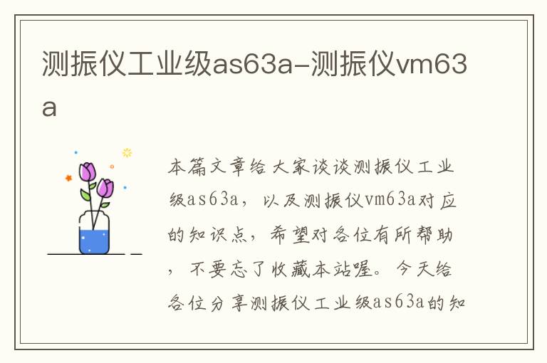 测振仪工业级as63a-测振仪vm63a