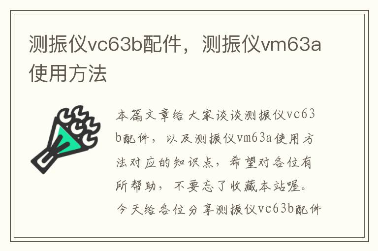 测振仪vc63b配件，测振仪vm63a使用方法