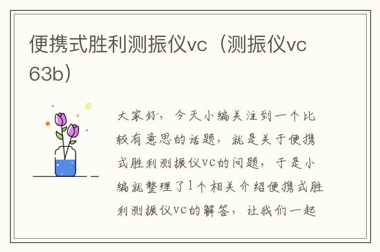 便携式胜利测振仪vc（测振仪vc63b）