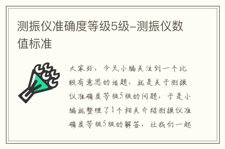 测振仪准确度等级5级-测振仪数值标准