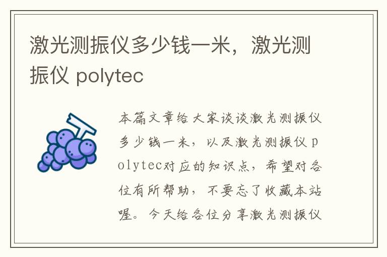 激光测振仪多少钱一米，激光测振仪 polytec