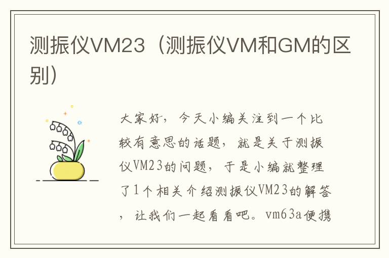 测振仪VM23（测振仪VM和GM的区别）