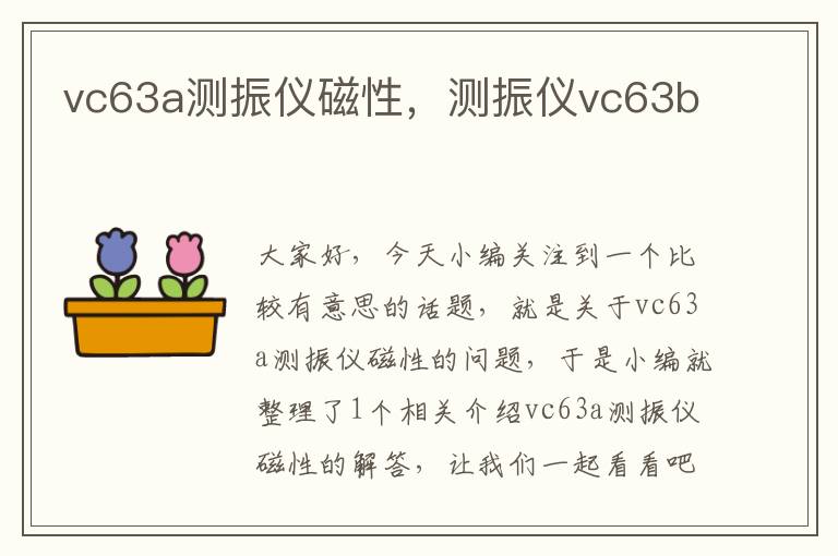 vc63a测振仪磁性，测振仪vc63b