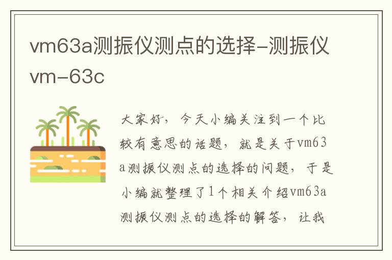 vm63a测振仪测点的选择-测振仪vm-63c