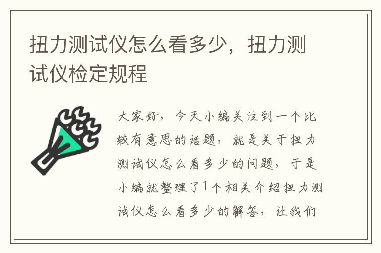 扭力测试仪怎么看多少，扭力测试仪检定规程