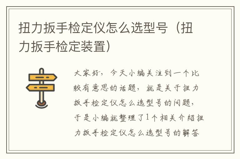 扭力扳手检定仪怎么选型号（扭力扳手检定装置）