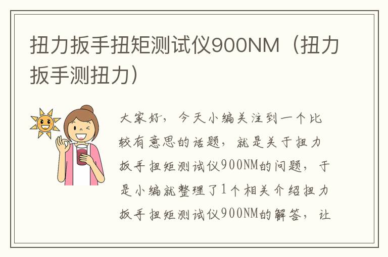 扭力扳手扭矩测试仪900NM（扭力扳手测扭力）