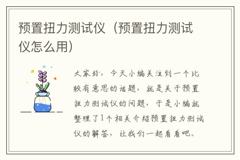 预置扭力测试仪（预置扭力测试仪怎么用）