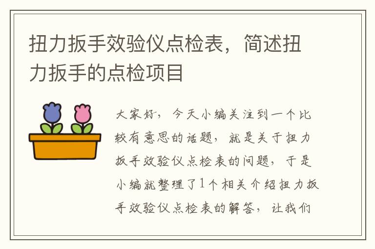 扭力扳手效验仪点检表，简述扭力扳手的点检项目