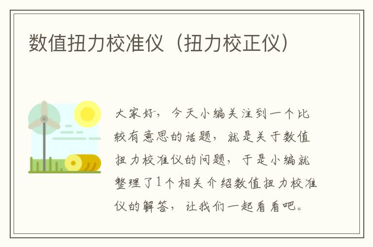 数值扭力校准仪（扭力校正仪）