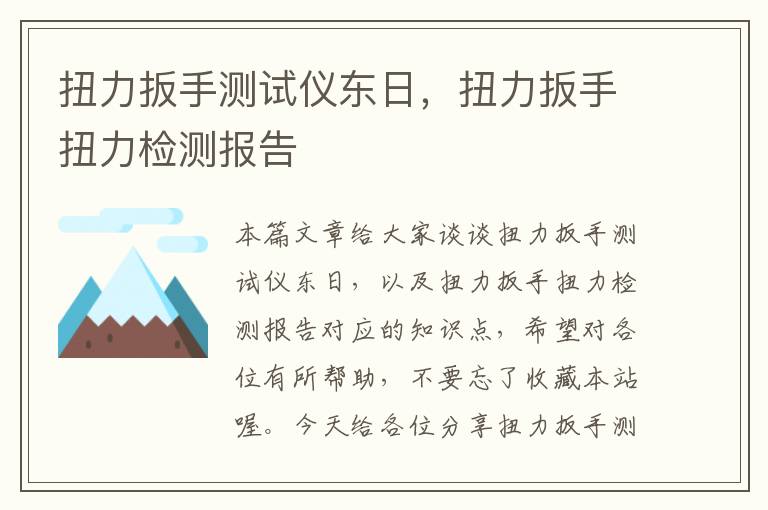 扭力扳手测试仪东日，扭力扳手扭力检测报告