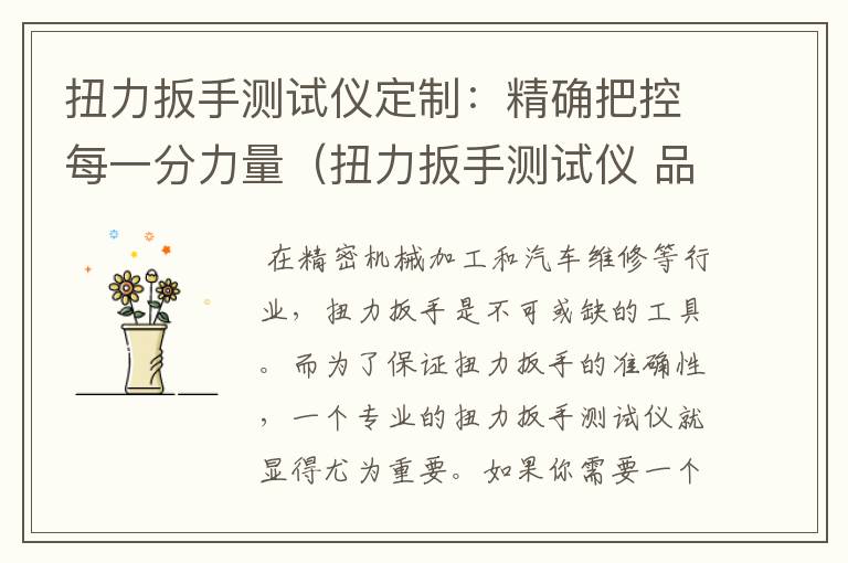 扭力扳手测试仪定制：精确把控每一分力量（扭力扳手测试仪 品牌）