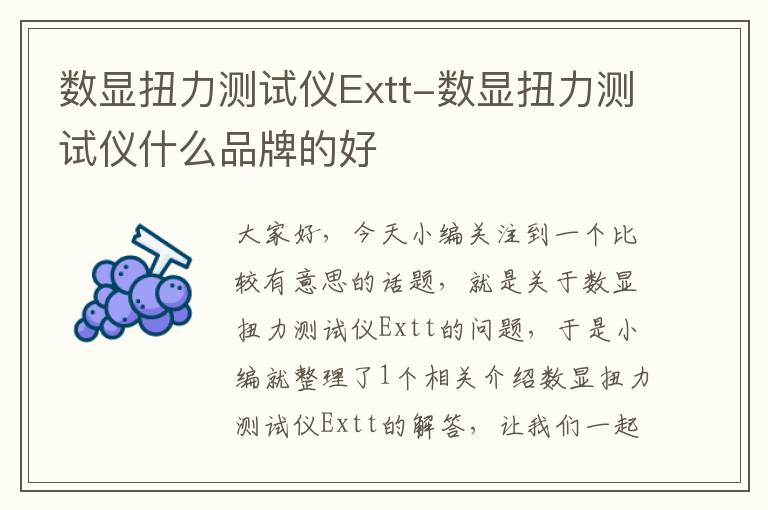 数显扭力测试仪Extt-数显扭力测试仪什么品牌的好