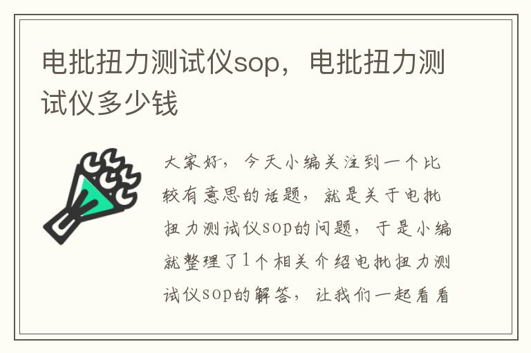 电批扭力测试仪sop，电批扭力测试仪多少钱