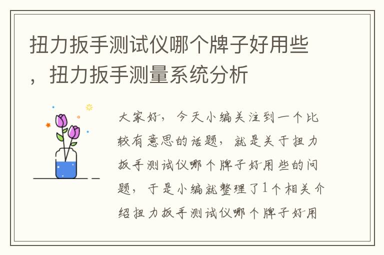 扭力扳手测试仪哪个牌子好用些，扭力扳手测量系统分析