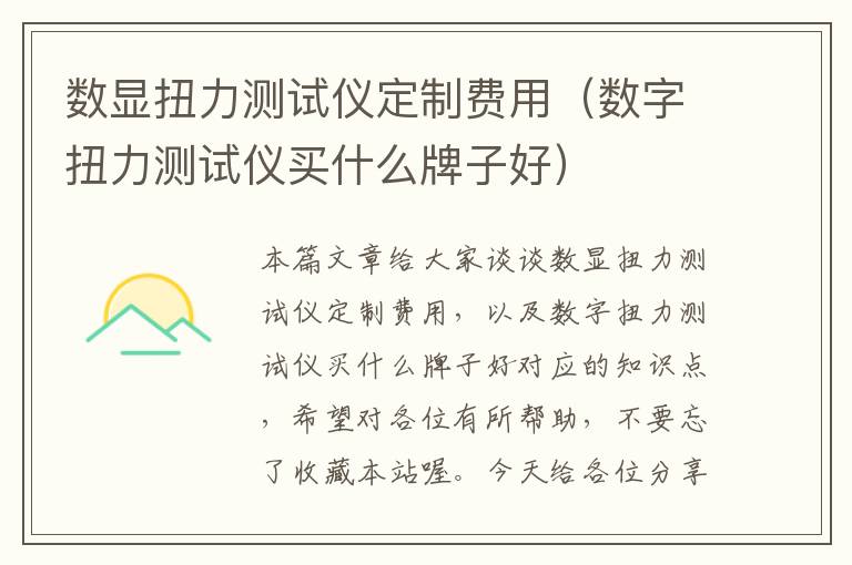 数显扭力测试仪定制费用（数字扭力测试仪买什么牌子好）