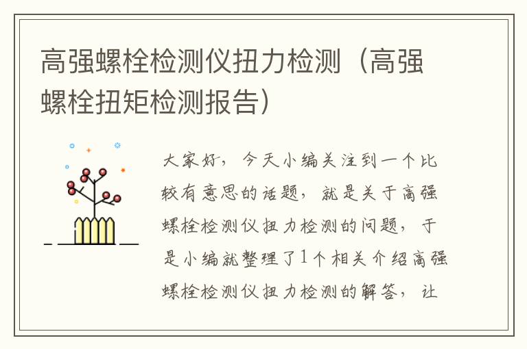 高强螺栓检测仪扭力检测（高强螺栓扭矩检测报告）