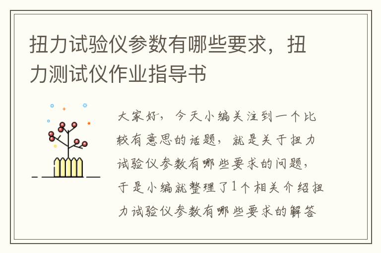 扭力试验仪参数有哪些要求，扭力测试仪作业指导书