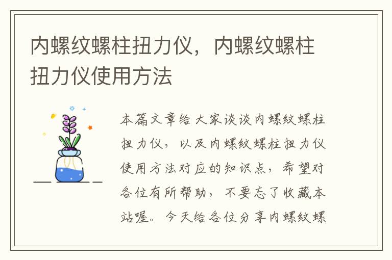 内螺纹螺柱扭力仪，内螺纹螺柱扭力仪使用方法