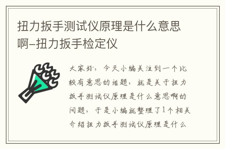 扭力扳手测试仪原理是什么意思啊-扭力扳手检定仪