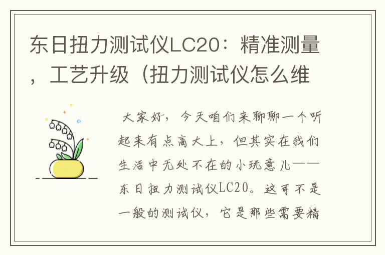 东日扭力测试仪LC20：精准测量，工艺升级（扭力测试仪怎么维修）