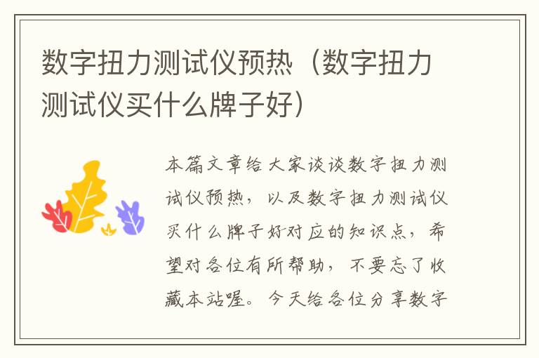 数字扭力测试仪预热（数字扭力测试仪买什么牌子好）