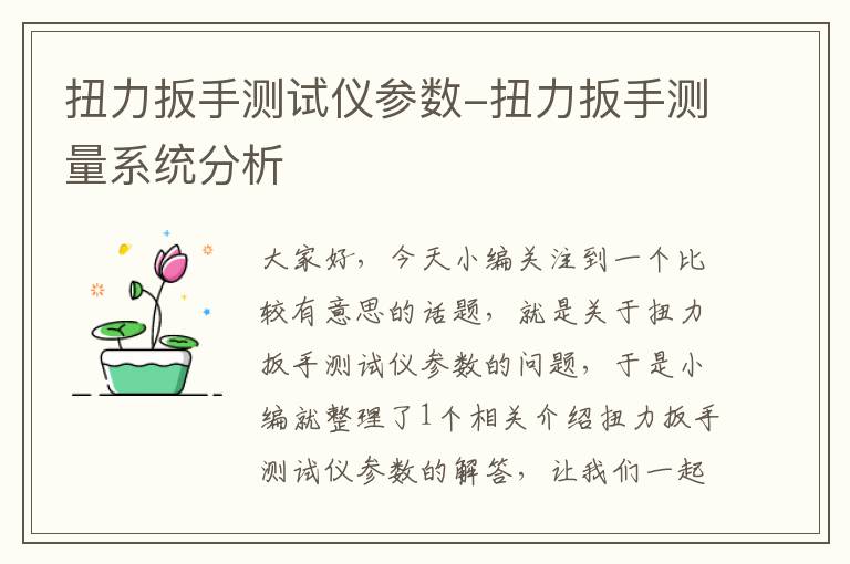 扭力扳手测试仪参数-扭力扳手测量系统分析