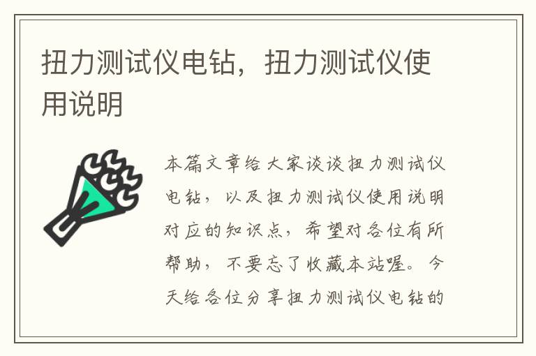 扭力测试仪电钻，扭力测试仪使用说明