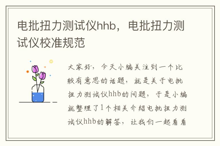 电批扭力测试仪hhb，电批扭力测试仪校准规范