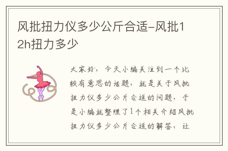 风批扭力仪多少公斤合适-风批12h扭力多少