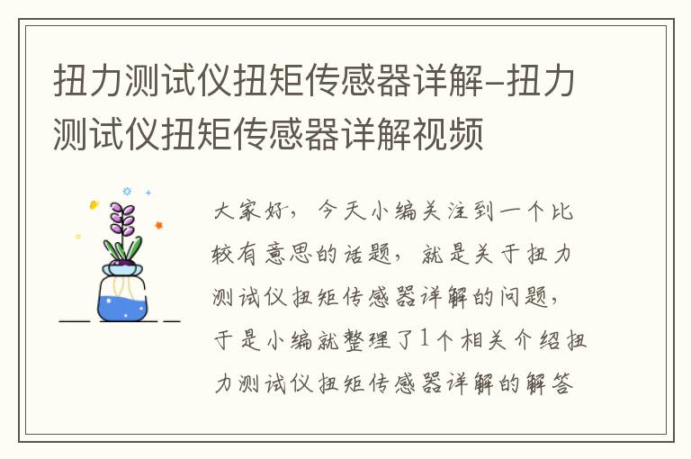 扭力测试仪扭矩传感器详解-扭力测试仪扭矩传感器详解视频