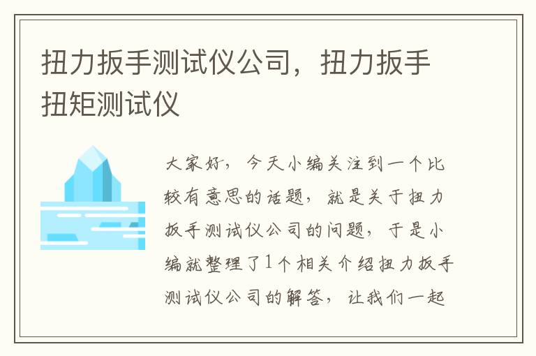 扭力扳手测试仪公司，扭力扳手扭矩测试仪