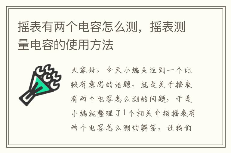 摇表有两个电容怎么测，摇表测量电容的使用方法