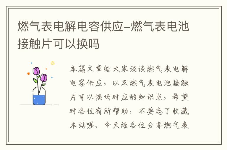 燃气表电解电容供应-燃气表电池接触片可以换吗