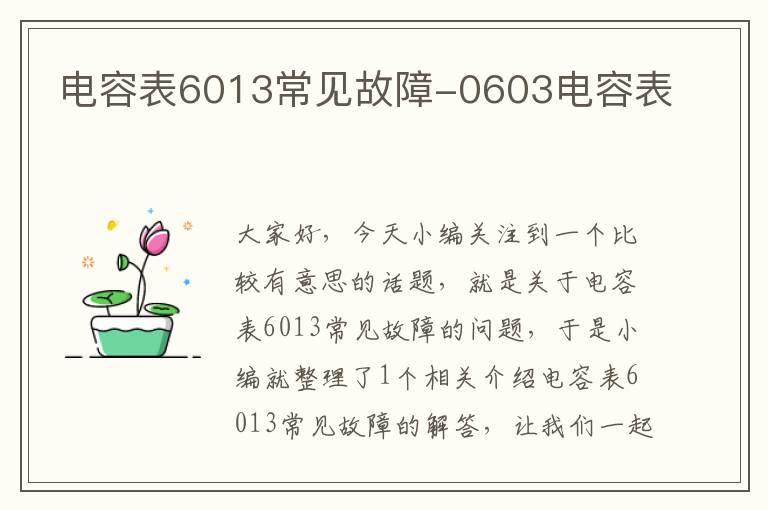 电容表6013常见故障-0603电容表