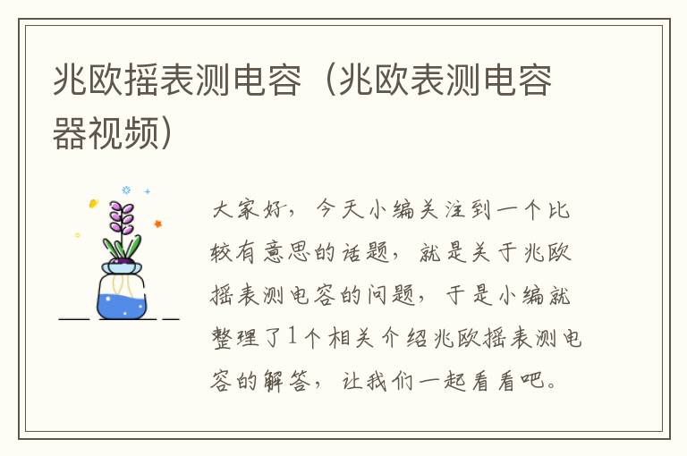 兆欧摇表测电容（兆欧表测电容器视频）