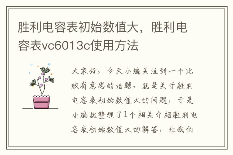 胜利电容表初始数值大，胜利电容表vc6013c使用方法