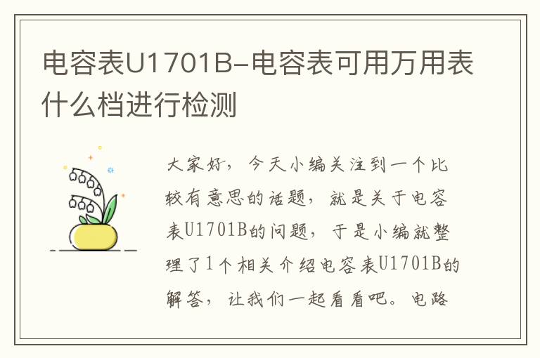 电容表U1701B-电容表可用万用表什么档进行检测