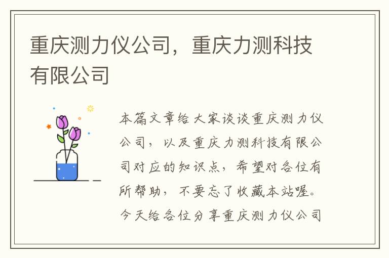 重庆测力仪公司，重庆力测科技有限公司