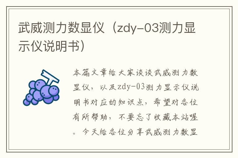 武威测力数显仪（zdy-03测力显示仪说明书）