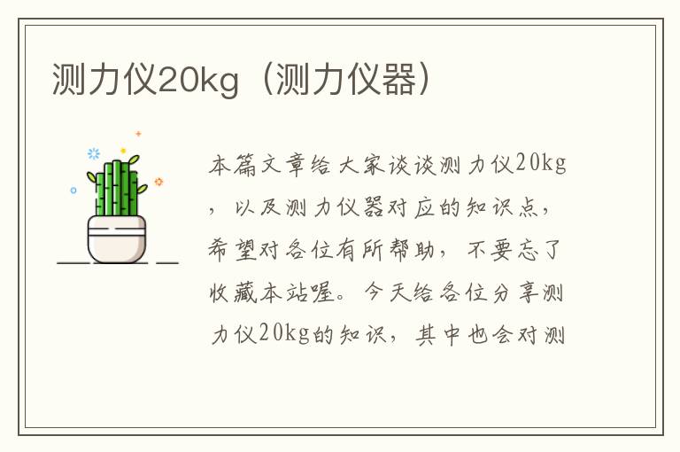 测力仪20kg（测力仪器）