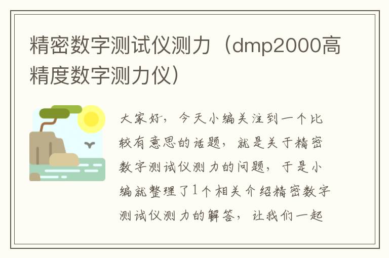 精密数字测试仪测力（dmp2000高精度数字测力仪）