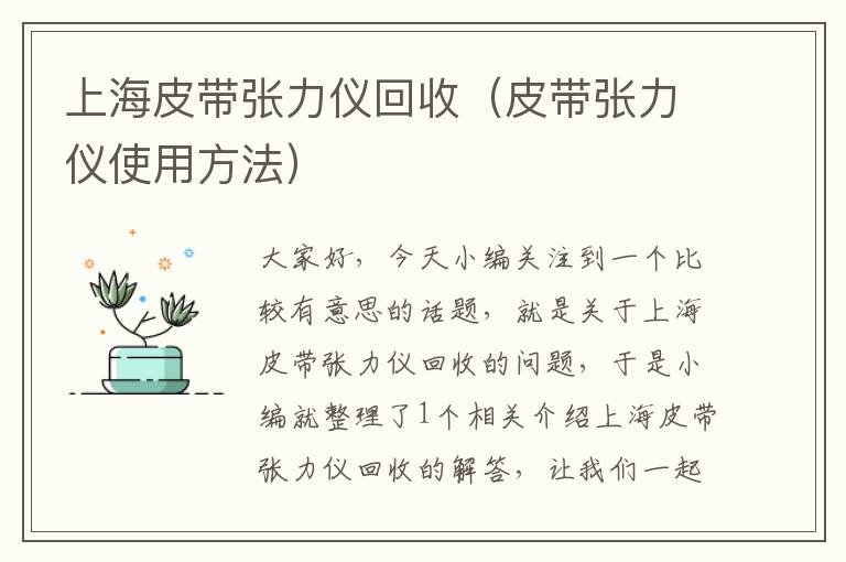 上海皮带张力仪回收（皮带张力仪使用方法）