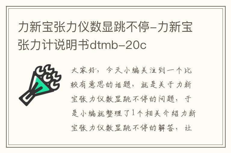 力新宝张力仪数显跳不停-力新宝张力计说明书dtmb-20c